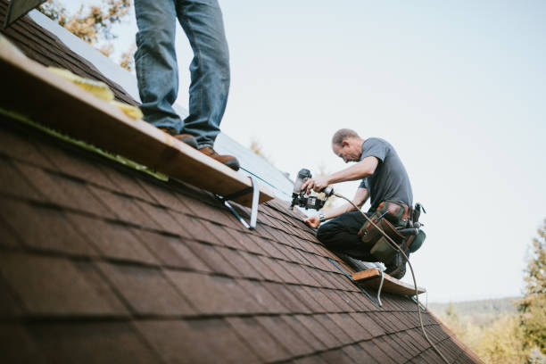 Trusted Tuscumbia, AL Roofing Contractor Experts